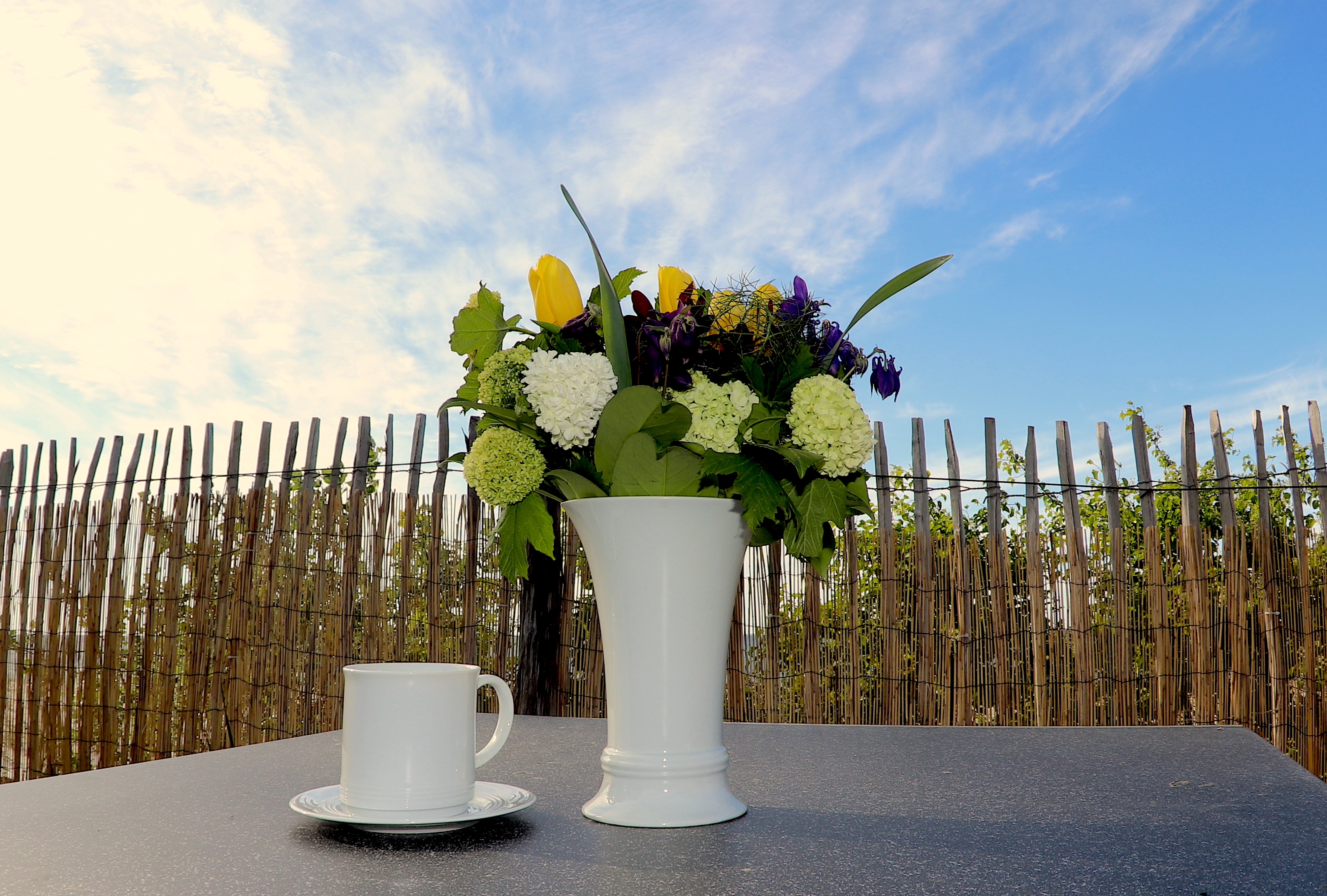 Tinyhaus Lubmin außen